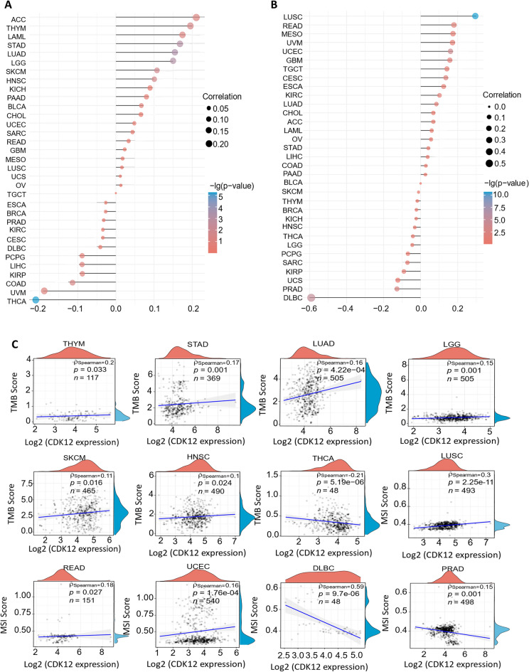 PMC10951204 – Fig11