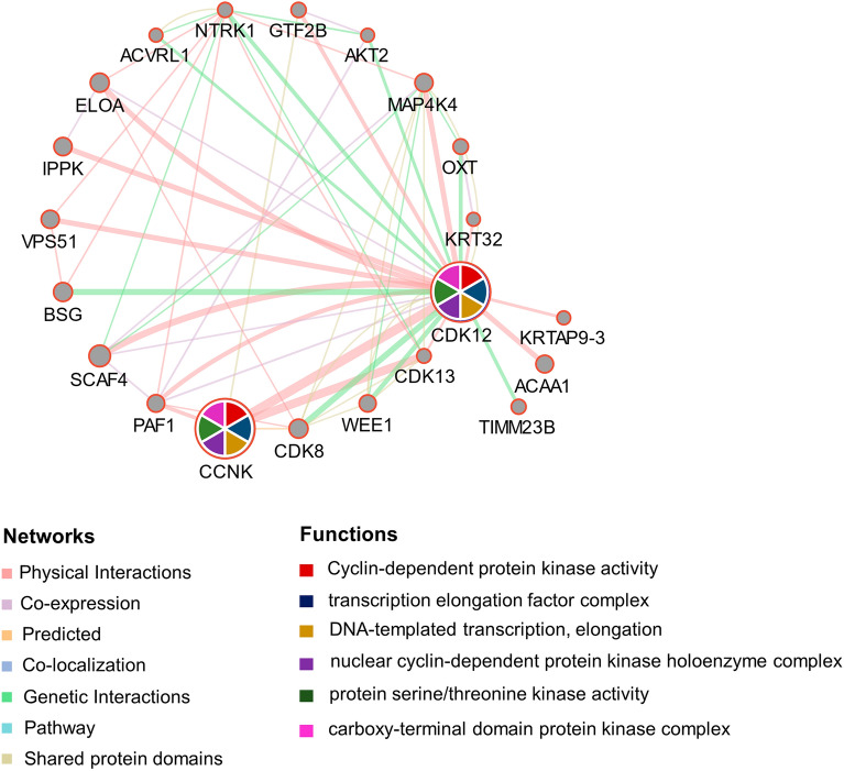 PMC10951204 – Fig13