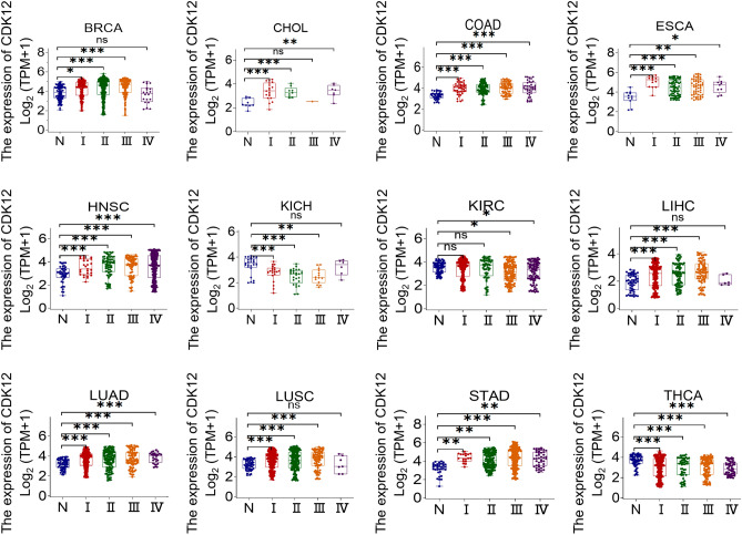 PMC10951204 – Fig4