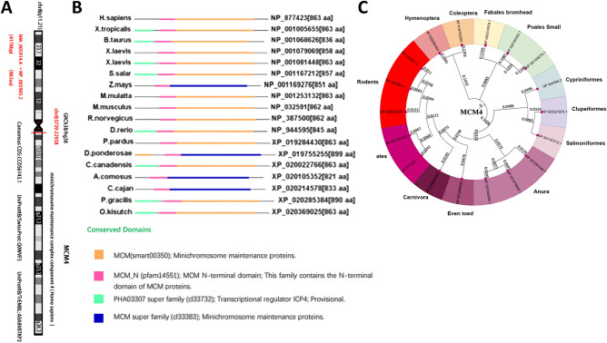 PMC10948783 – Fig1