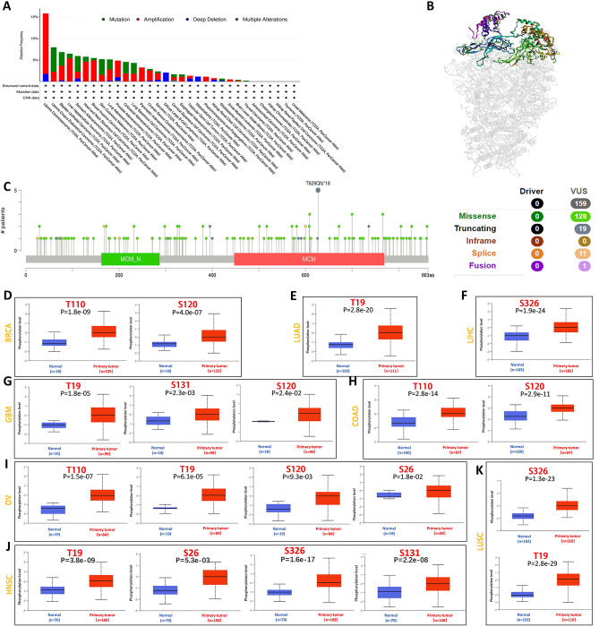 PMC10948783 – Fig4