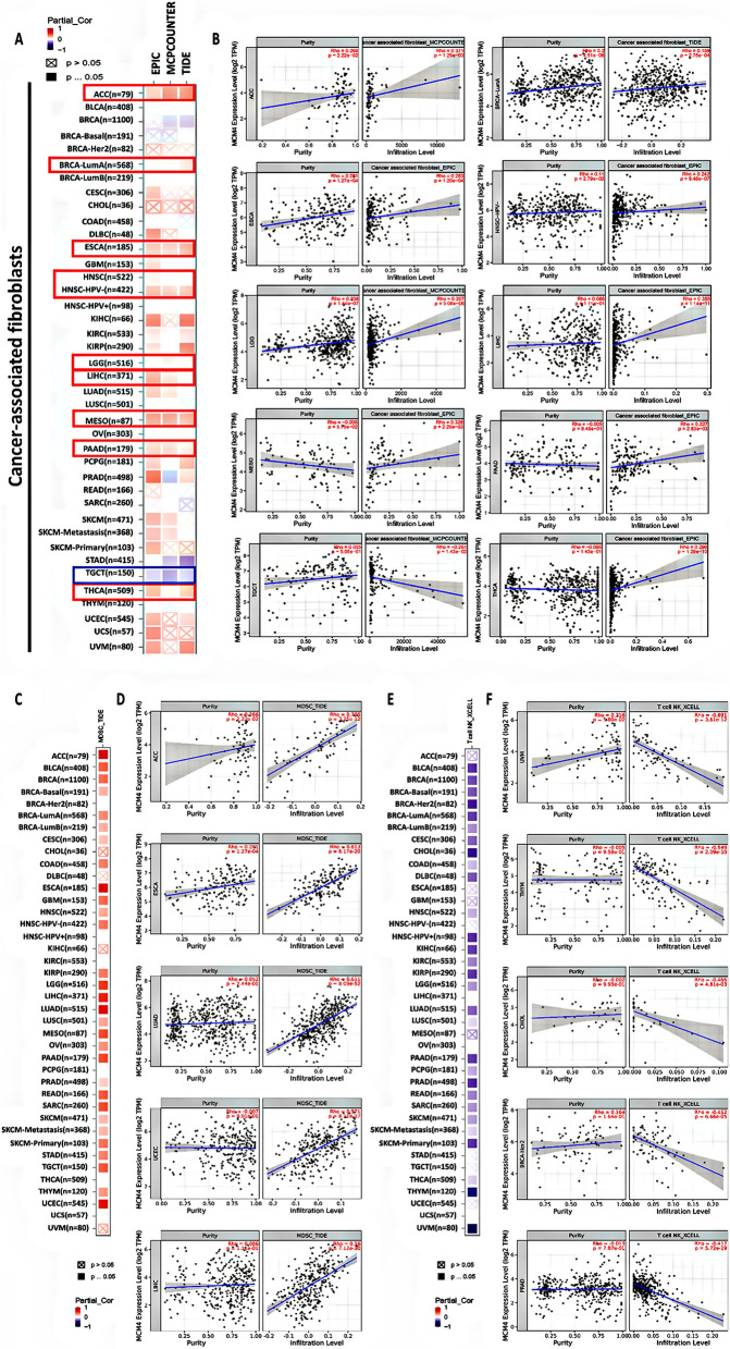PMC10948783 – Fig6