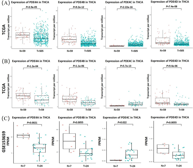 PMC10957934 – Fig1