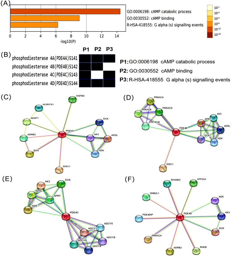 PMC10957934 – Fig5