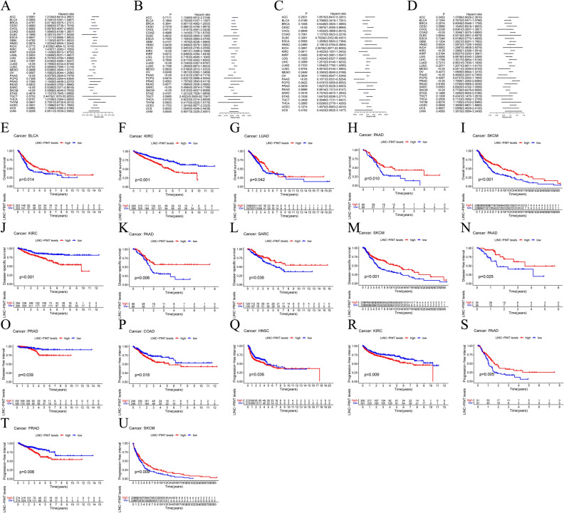 PMC10980720 – Fig6