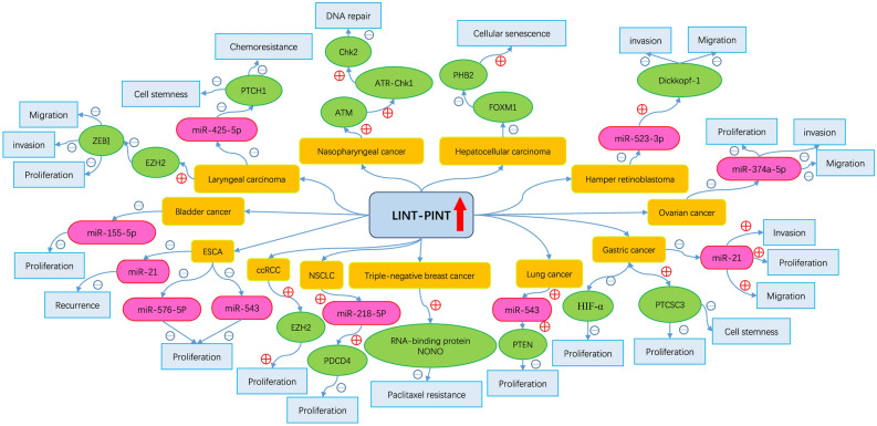 PMC10980720 – Fig7