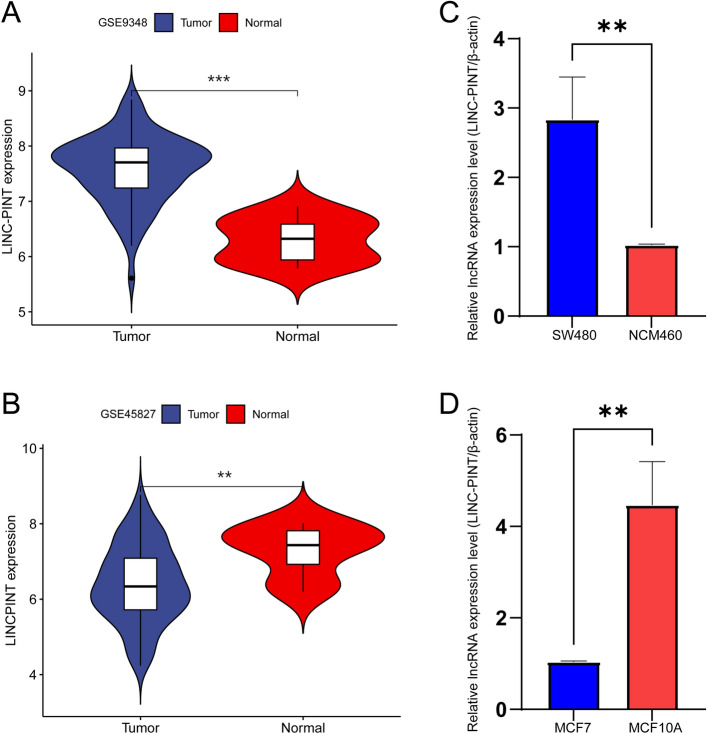 PMC10980720 – Fig8