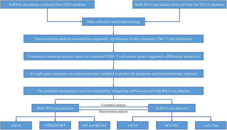 PMC11006682 – Fig1