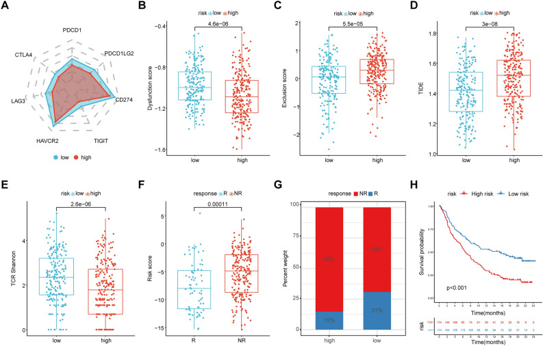 PMC11006682 – Fig5