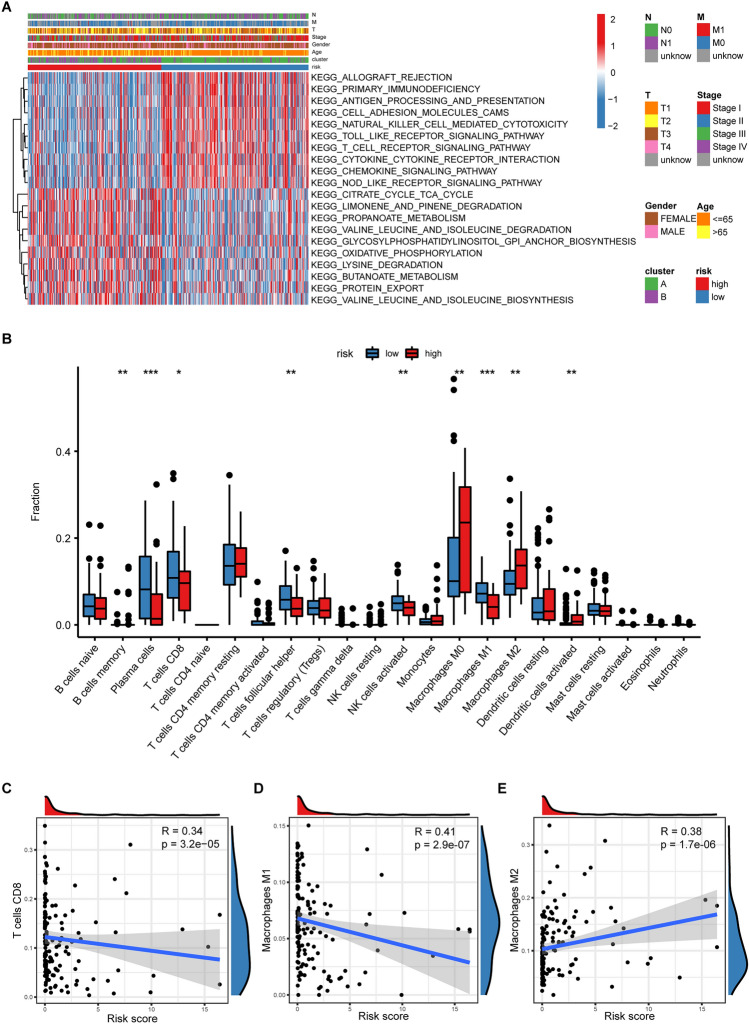 PMC11006682 – Fig6