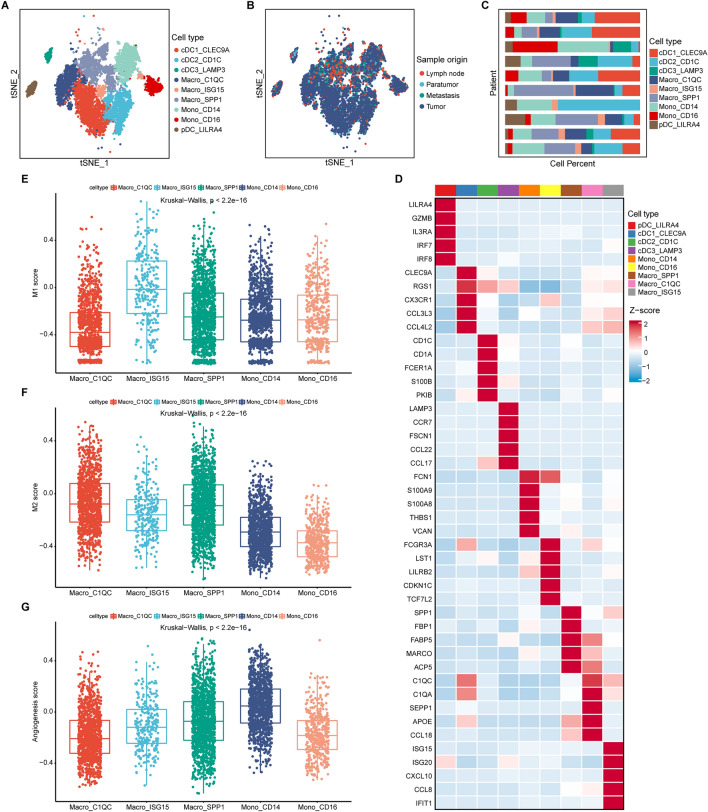 PMC11006682 – Fig7