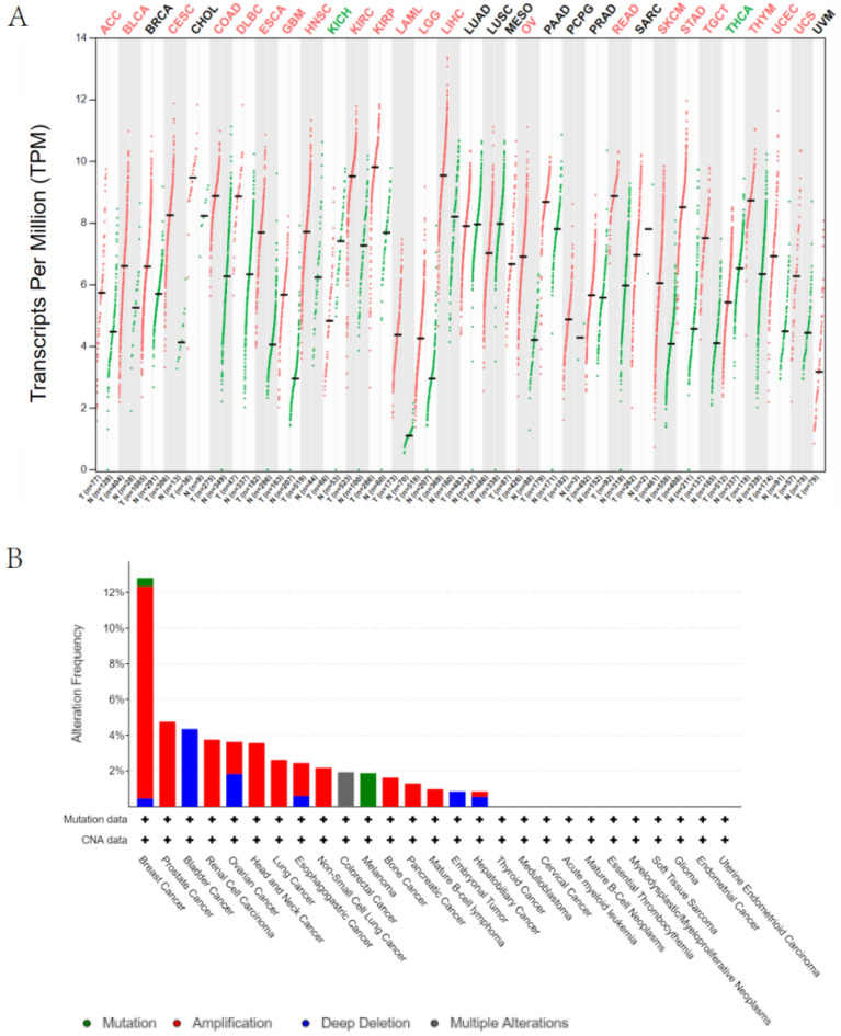 PMC10999427 – Fig1