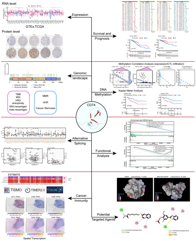 PMC10998849 – Fig1
