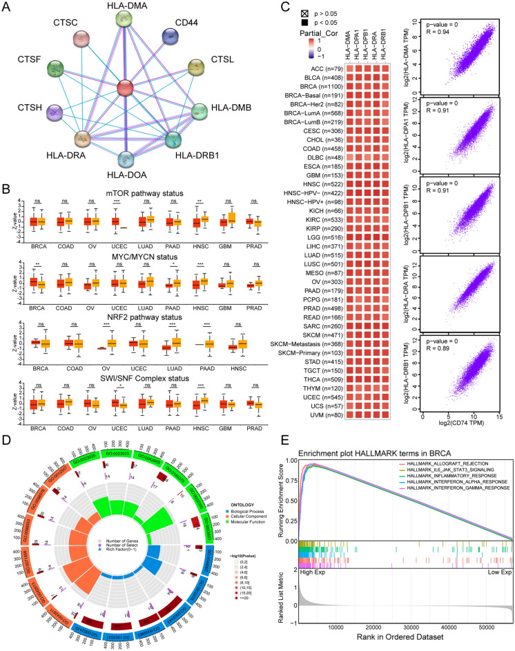 PMC10998849 – Fig6