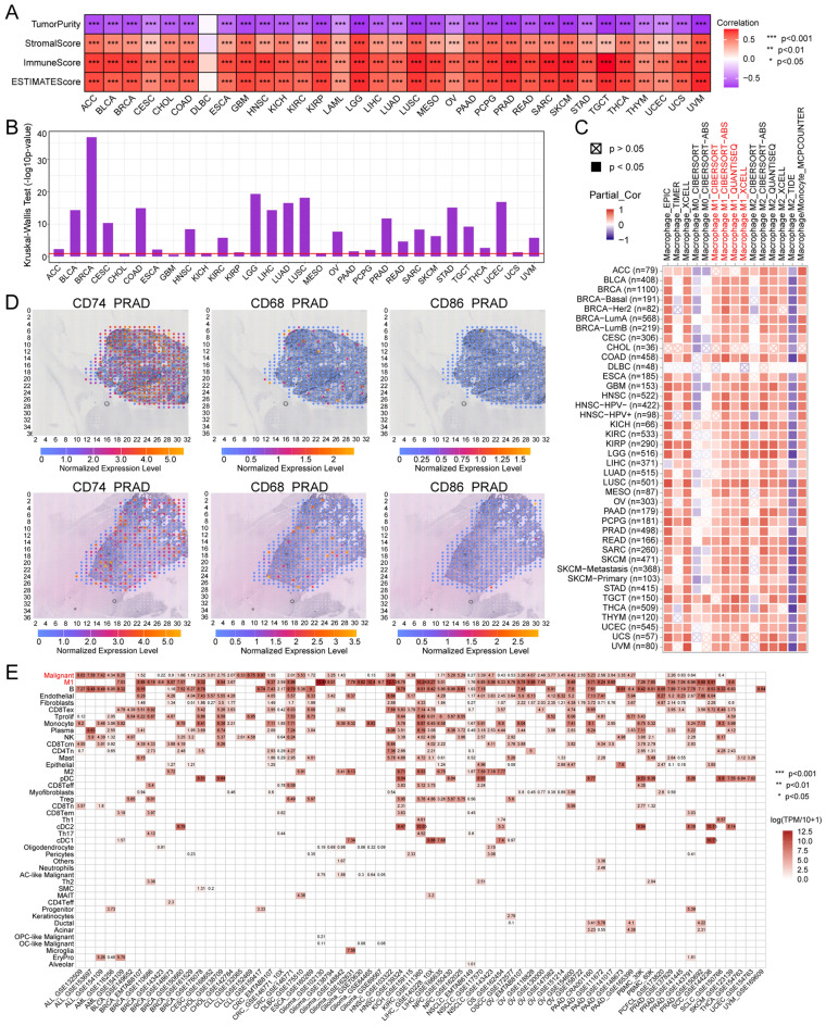 PMC10998849 – Fig7