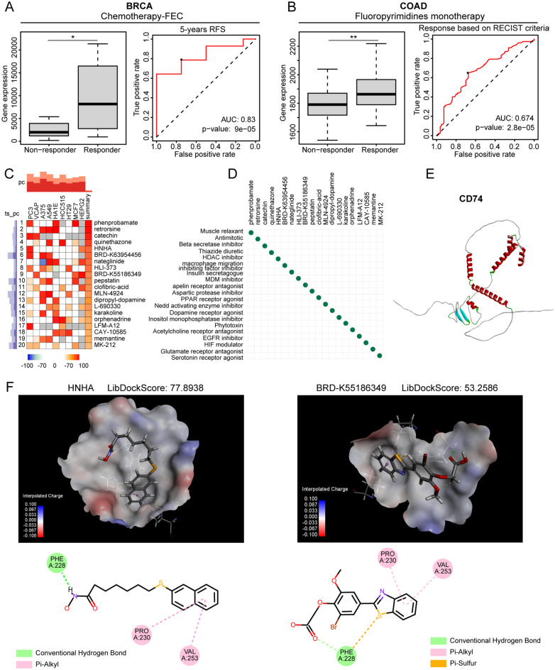 PMC10998849 – Fig9
