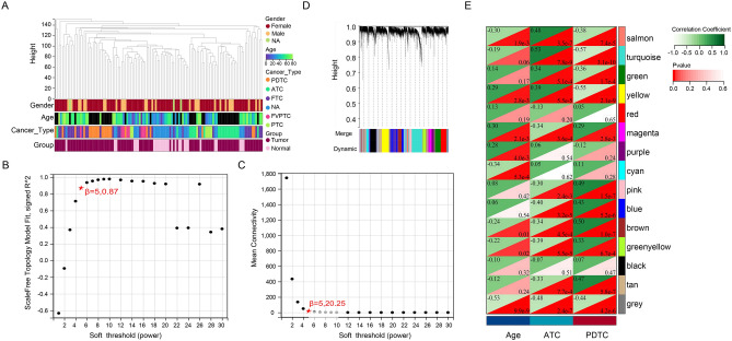 PMC11001958 – Fig3