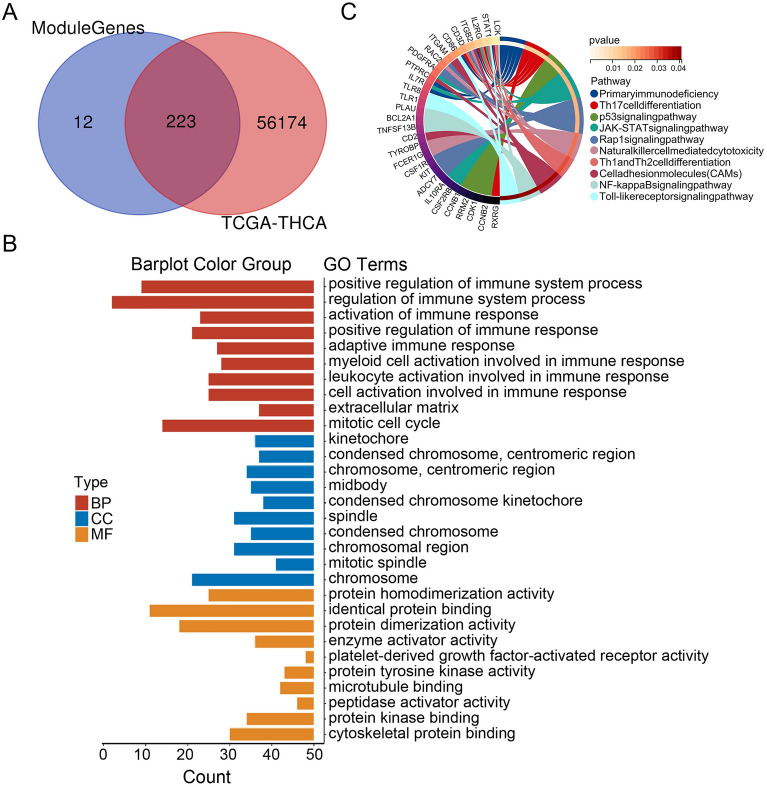 PMC11001958 – Fig4