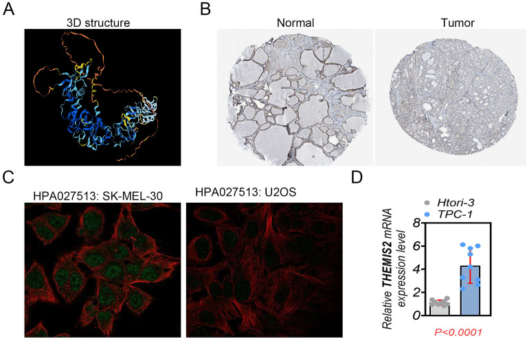 PMC11001958 – Fig6