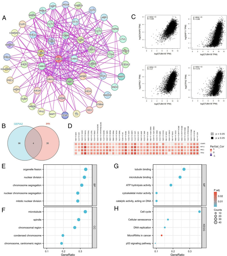 PMC11001892 – Fig11