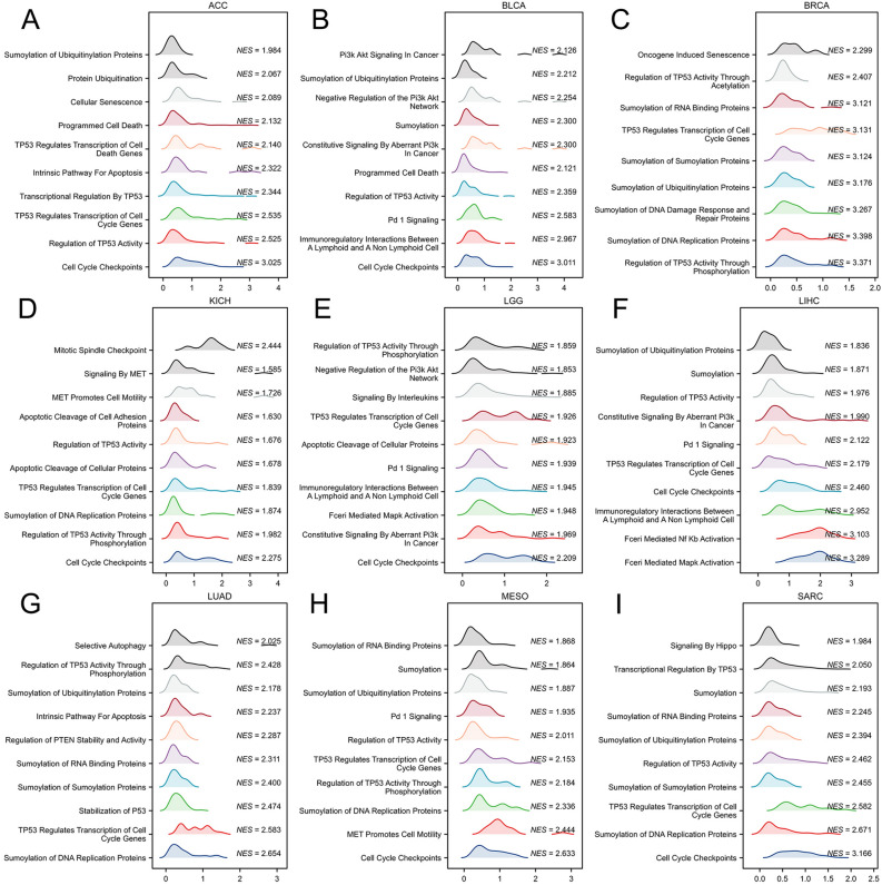 PMC11001892 – Fig12