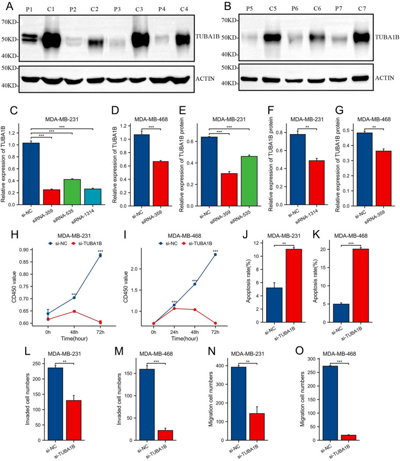 PMC11001892 – Fig13