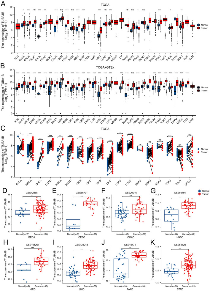 PMC11001892 – Fig1