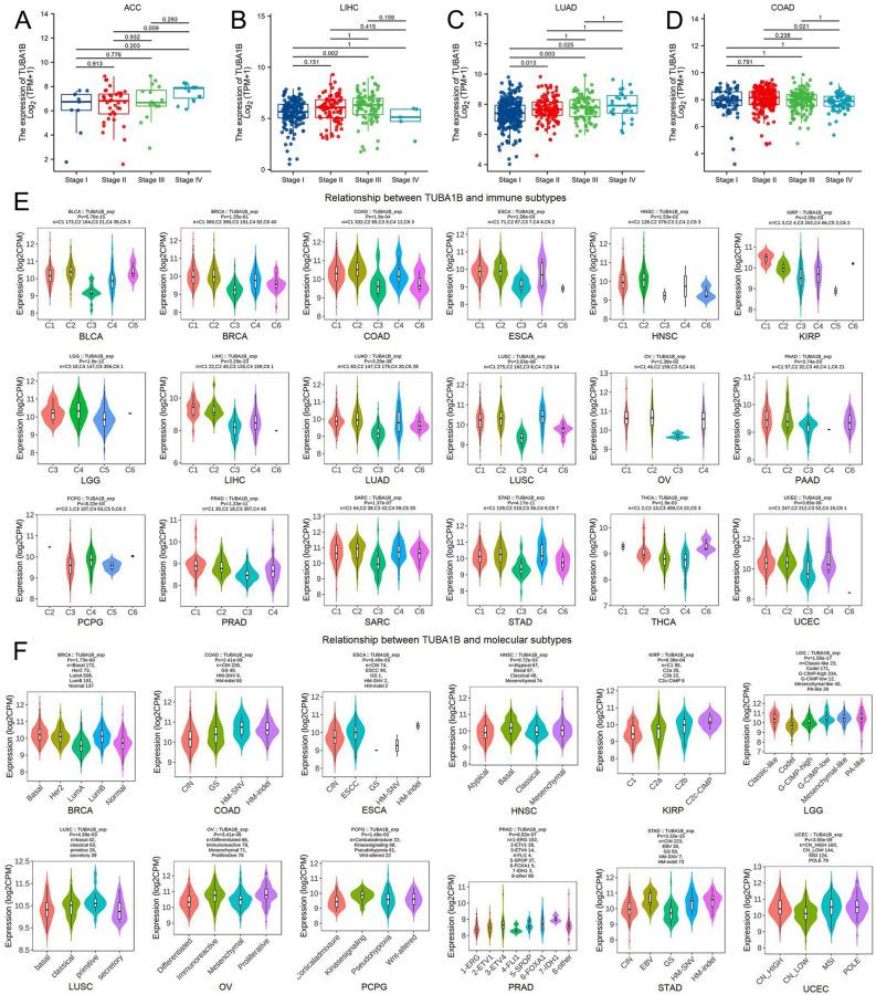 PMC11001892 – Fig2