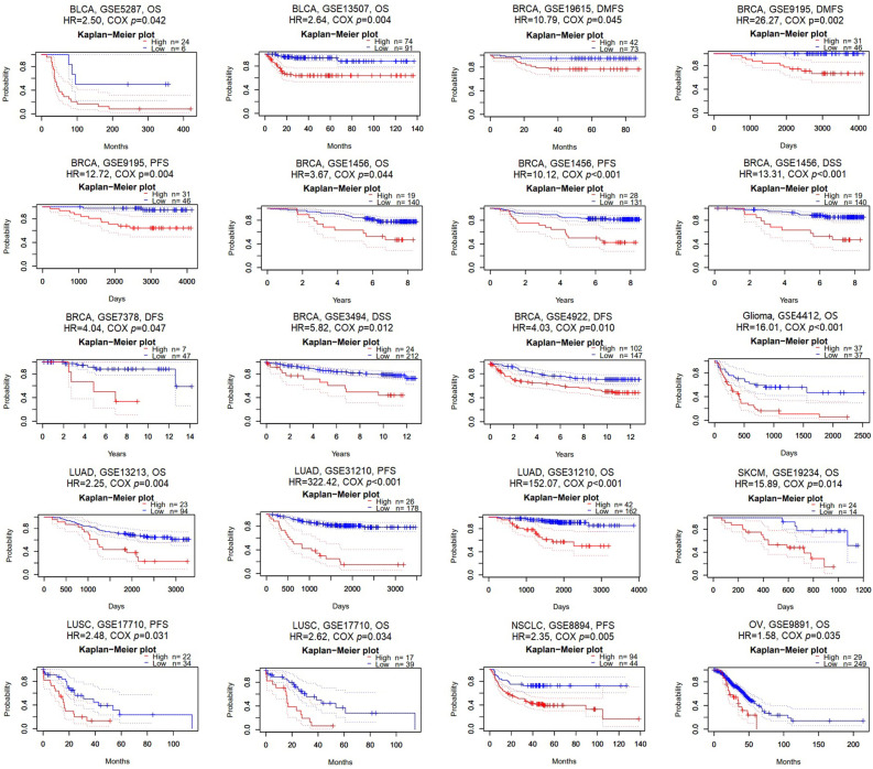 PMC11001892 – Fig3