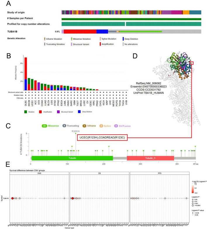 PMC11001892 – Fig7