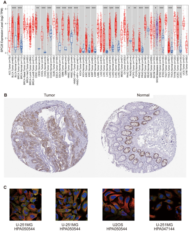 PMC11009294 – Fig1