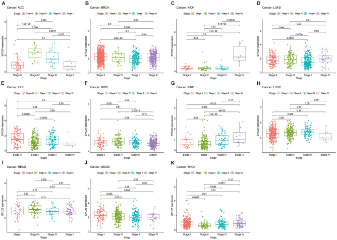PMC11009294 – Fig4