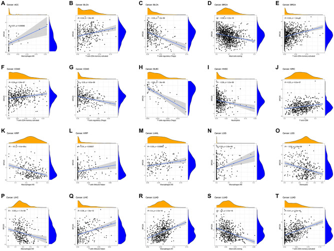 PMC11009294 – Fig9