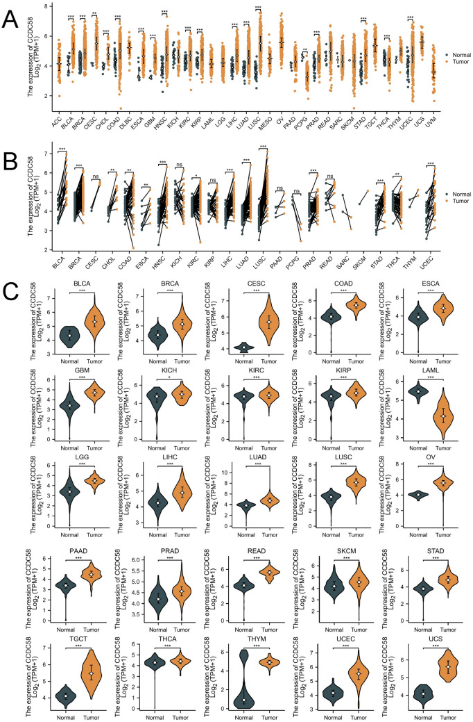 PMC11014850 – Fig1