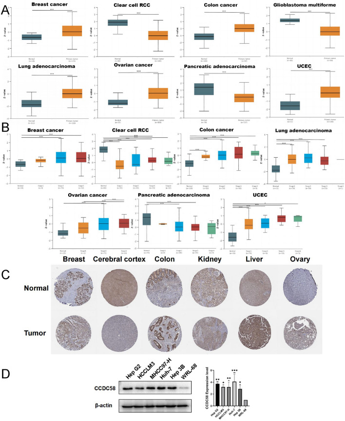 PMC11014850 – Fig2