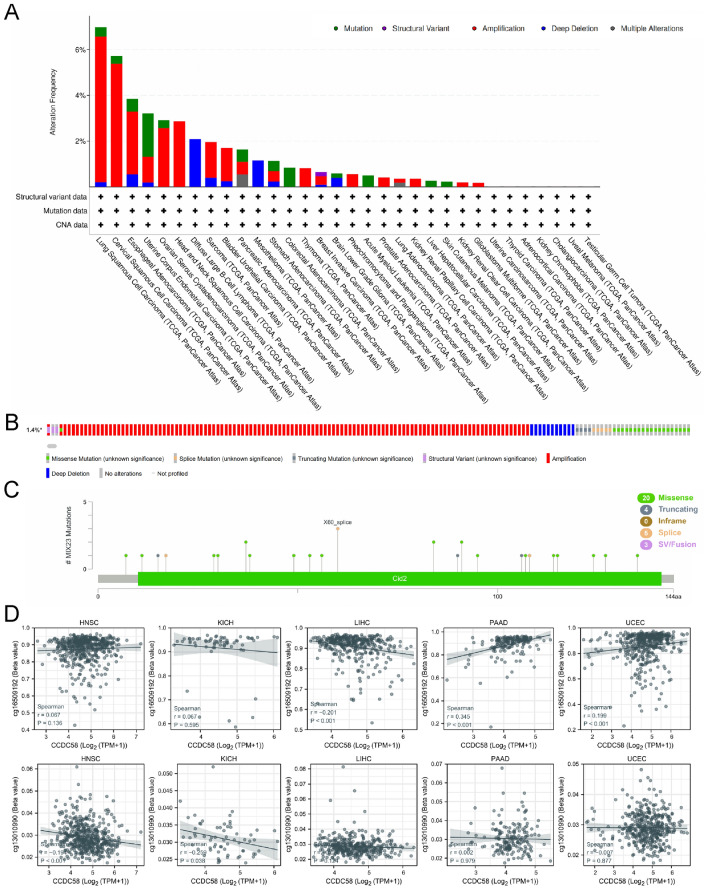 PMC11014850 – Fig4