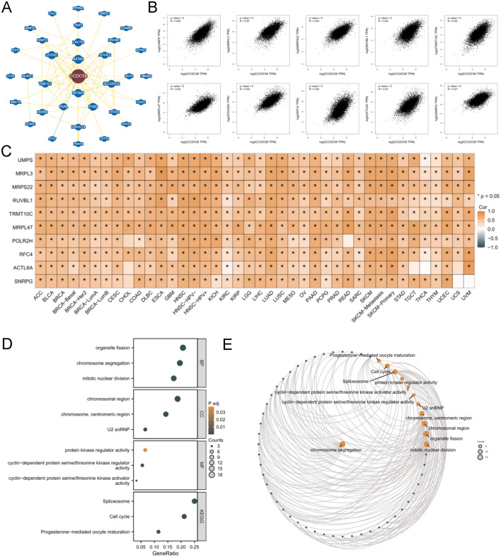PMC11014850 – Fig9