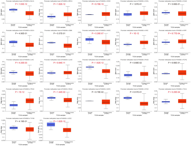 PMC11061125 – Fig10
