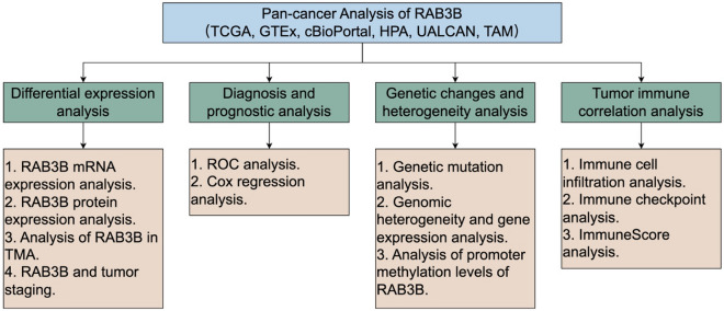 PMC11061125 – Fig1