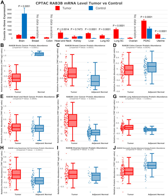 PMC11061125 – Fig3