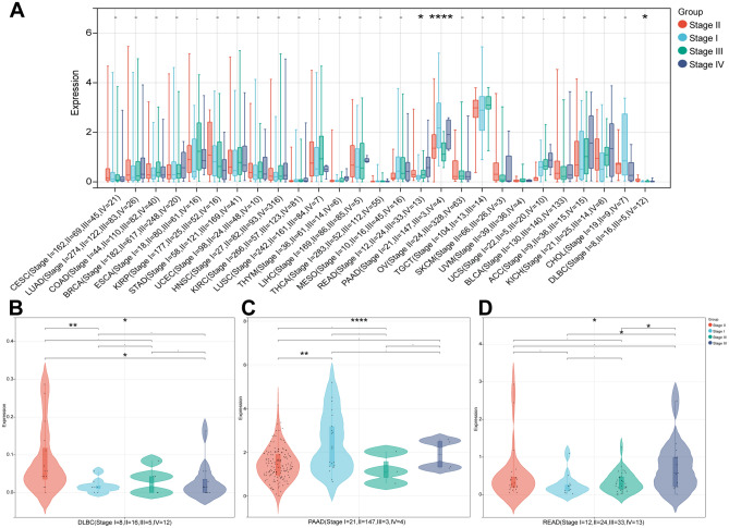 PMC11061125 – Fig6