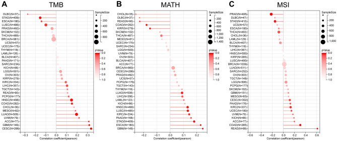 PMC11061125 – Fig9