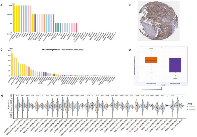PMC11059406 – Fig1