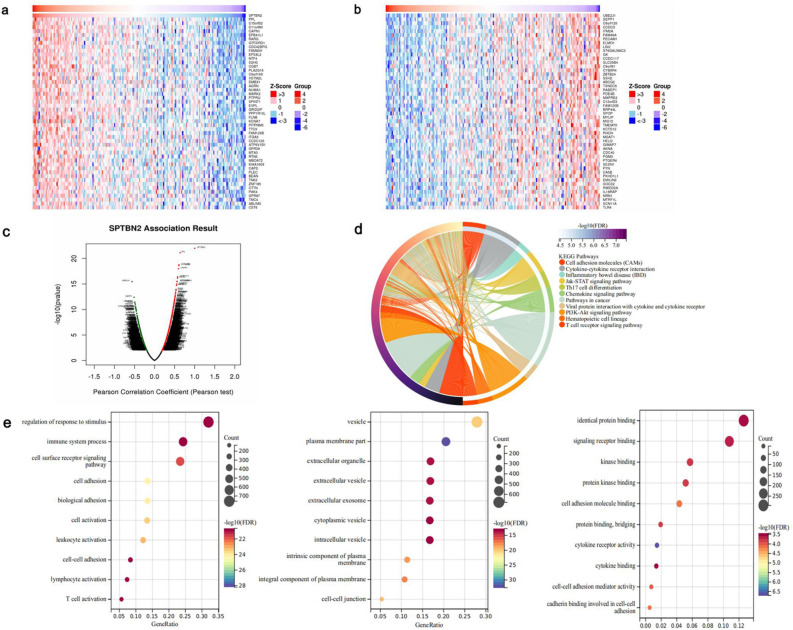 PMC11059406 – Fig7
