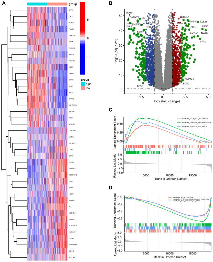 PMC11372091 – Fig10