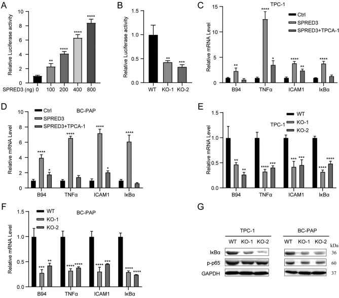 PMC11372091 – Fig11