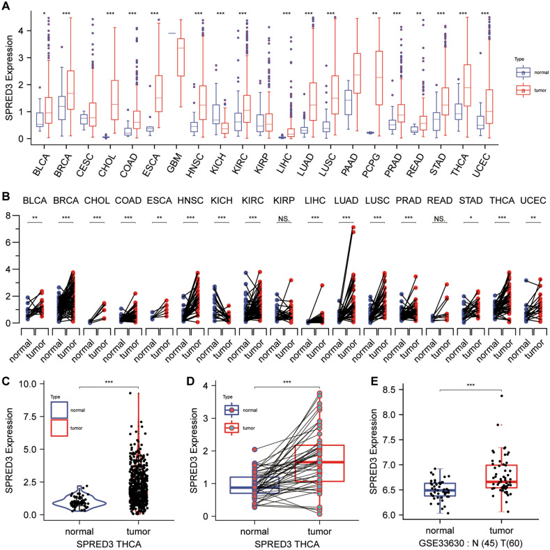 PMC11372091 – Fig1