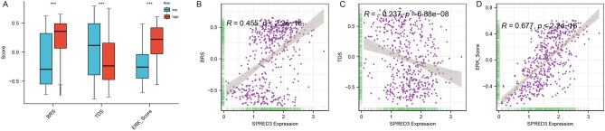 PMC11372091 – Fig4