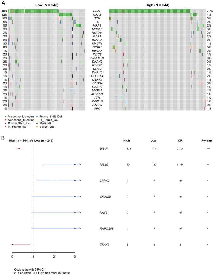 PMC11372091 – Fig5