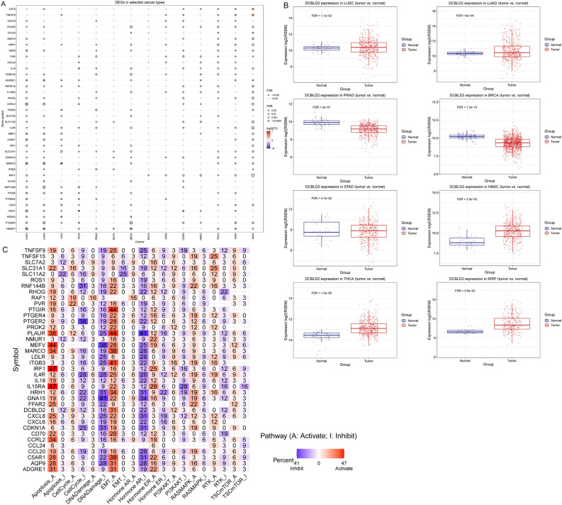 PMC11076581 – Fig2